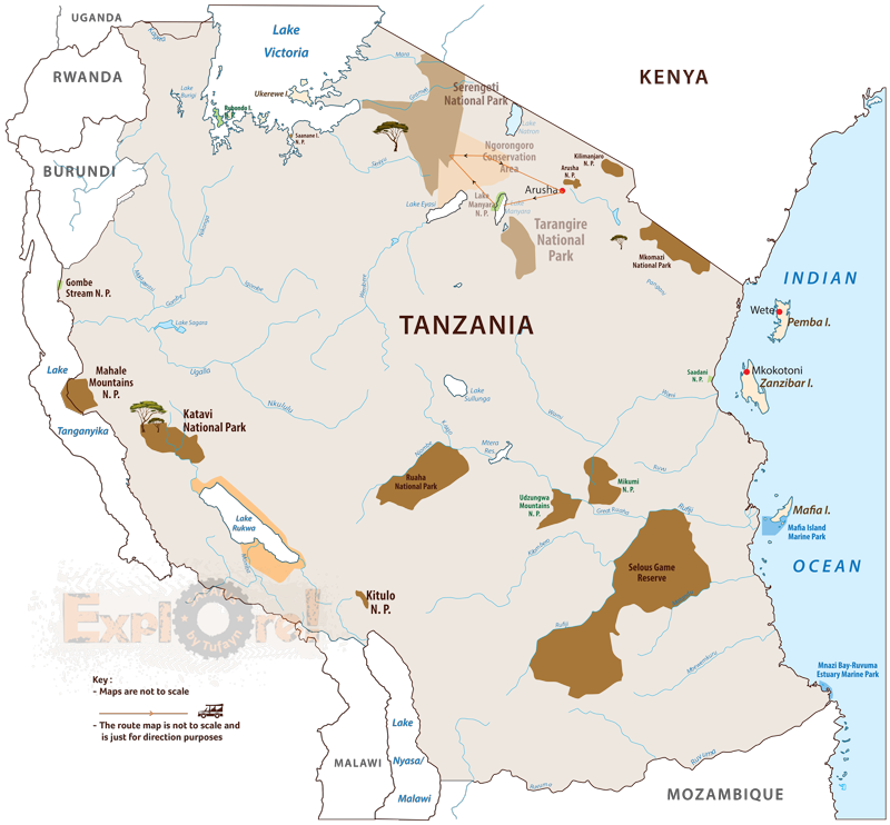 Tanzania-Safaris_Explore-Lions-Trail_final