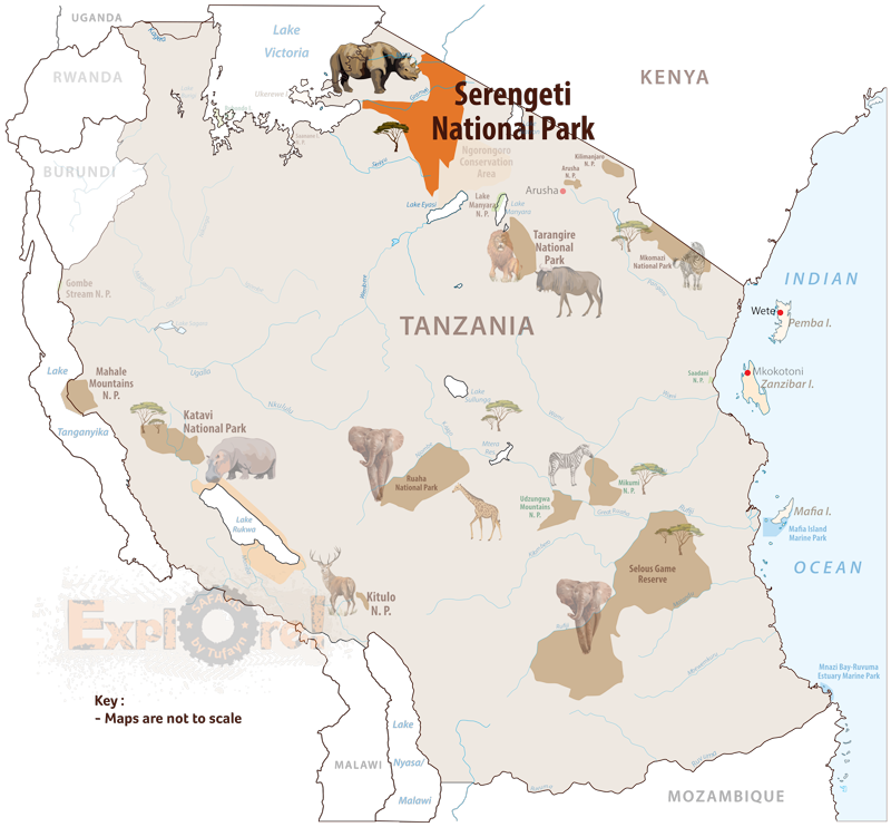 Tanzania-Safaris_Serengeti-National-Park