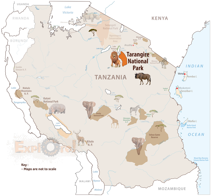Tanzania-Safaris_Tarangire-National-Park